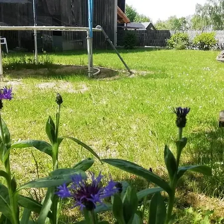 Vip-zelten Im Garten - *